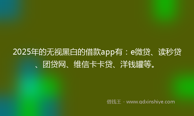 2025年的无视黑白的借款app有：e微贷、读秒贷、团贷网、维信卡卡贷、洋钱罐等。