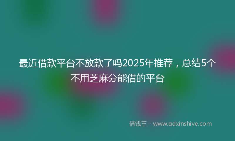 最近借款平台不放款了吗2025年推荐，总结5个不用芝麻分能借的平台