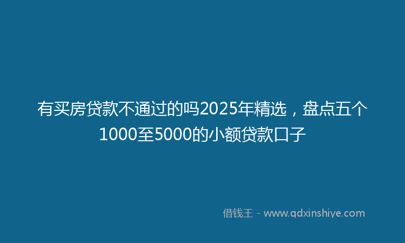 有买房贷款不通过的吗2025年精选，盘点五个1000至5000的小额贷款口子