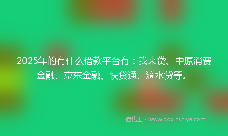 2025年的有什么借款平台有：我来贷、中原消费金融、京东金融、快贷通、滴水贷等。