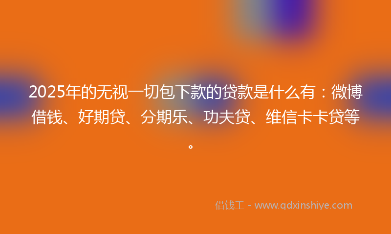 2025年的无视一切包下款的贷款是什么有：微博借钱、好期贷、分期乐、功夫贷、维信卡卡贷等。