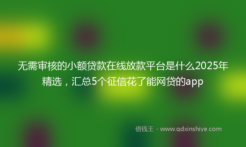 无需审核的小额贷款在线放款平台是什么2025年精选，汇总5个征信花了能网贷的app