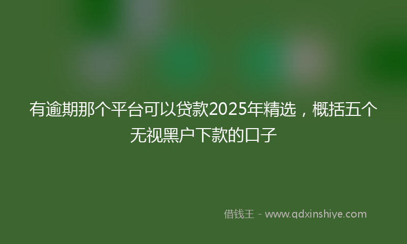 有逾期那个平台可以贷款2025年精选，概括五个无视黑户下款的口子