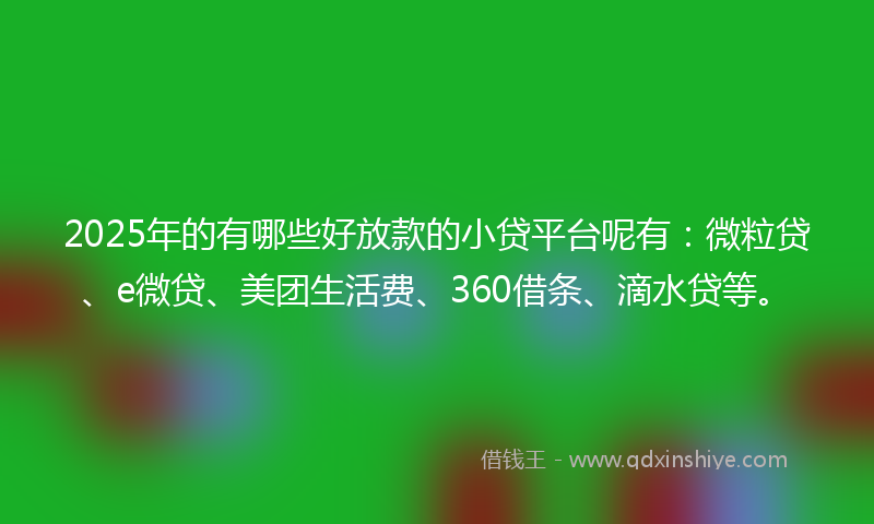 2025年的有哪些好放款的小贷平台呢有：微粒贷、e微贷、美团生活费、360借条、滴水贷等。
