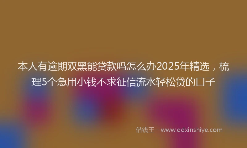 本人有逾期双黑能贷款吗怎么办2025年精选，梳理5个急用小钱不求征信流水轻松贷的口子