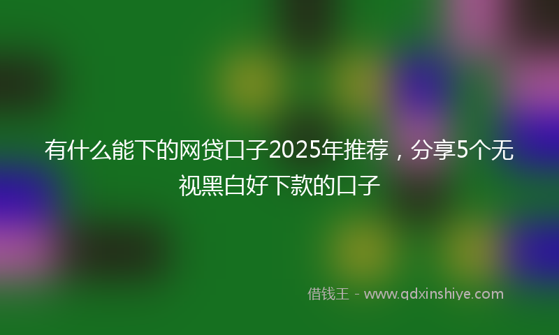 有什么能下的网贷口子2025年推荐，分享5个无视黑白好下款的口子