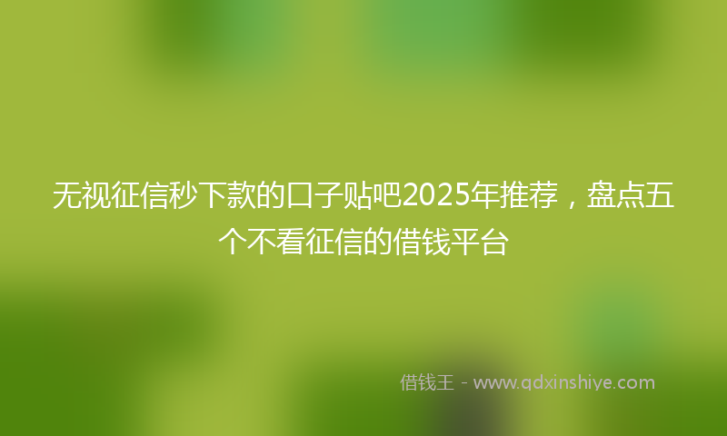 无视征信秒下款的口子贴吧2025年推荐，盘点五个不看征信的借钱平台