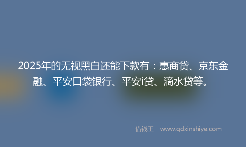 2025年的无视黑白还能下款有：惠商贷、京东金融、平安口袋银行、平安i贷、滴水贷等。