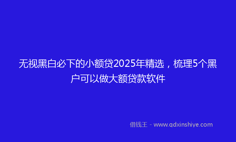 无视黑白必下的小额贷2025年精选，梳理5个黑户可以做大额贷款软件