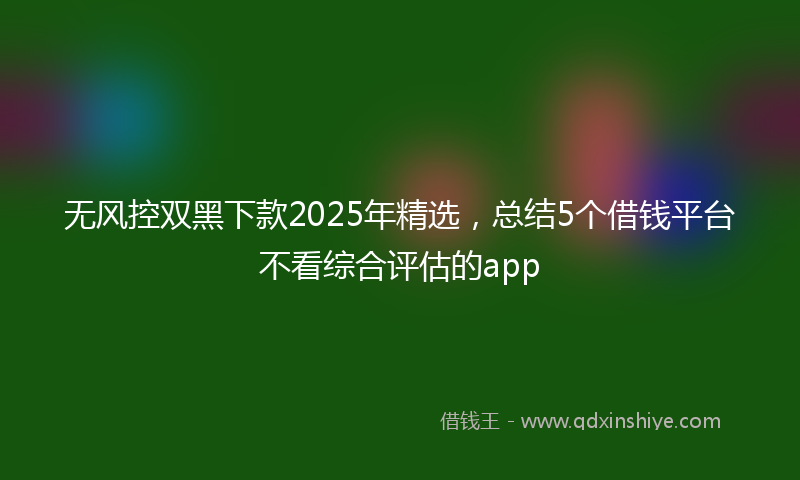 无风控双黑下款2025年精选，总结5个借钱平台不看综合评估的app