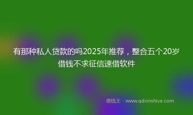 有那种私人贷款的吗2025年推荐，整合五个20岁借钱不求征信速借软件