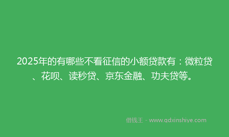 2025年的有哪些不看征信的小额贷款有：微粒贷、花呗、读秒贷、京东金融、功夫贷等。