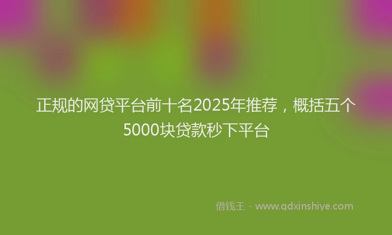 正规的网贷平台前十名2025年推荐，概括五个5000块贷款秒下平台