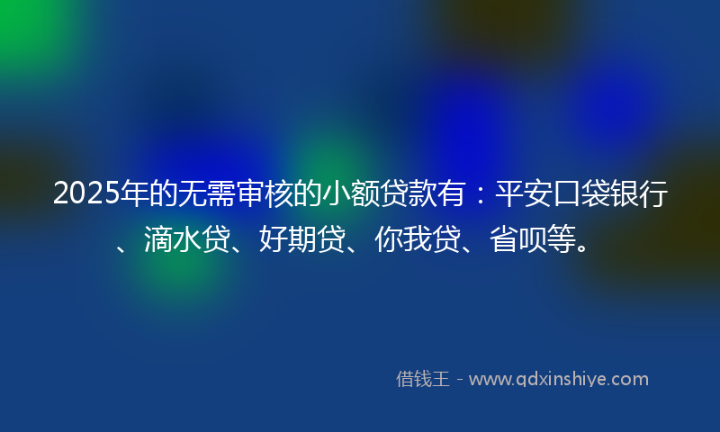 2025年的无需审核的小额贷款有：平安口袋银行、滴水贷、好期贷、你我贷、省呗等。