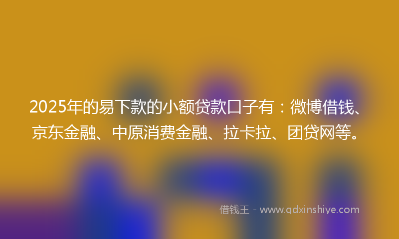 2025年的易下款的小额贷款口子有：微博借钱、京东金融、中原消费金融、拉卡拉、团贷网等。