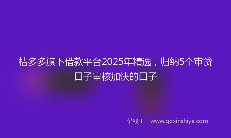 桔多多旗下借款平台2025年精选，归纳5个审贷口子审核加快的口子