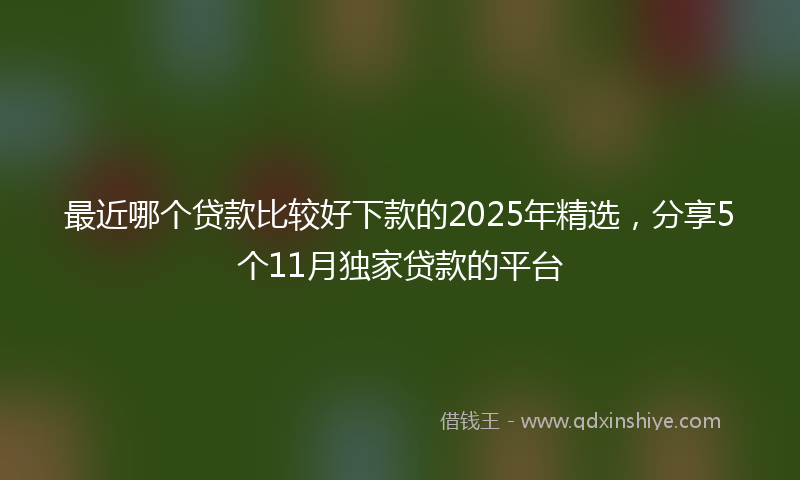 最近哪个贷款比较好下款的2025年精选，分享5个11月独家贷款的平台