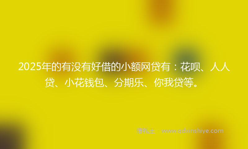 2025年的有没有好借的小额网贷有：花呗、人人贷、小花钱包、分期乐、你我贷等。