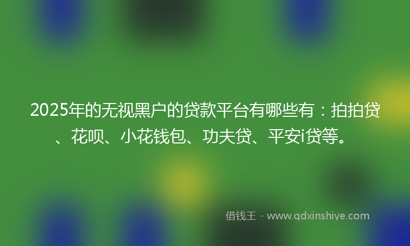2025年的无视黑户的贷款平台有哪些有：拍拍贷、花呗、小花钱包、功夫贷、平安i贷等。