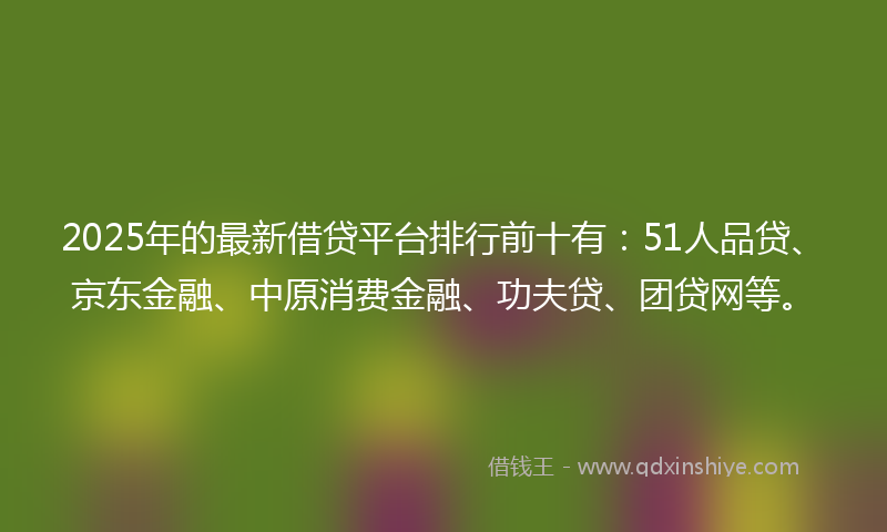 2025年的最新借贷平台排行前十有：51人品贷、京东金融、中原消费金融、功夫贷、团贷网等。