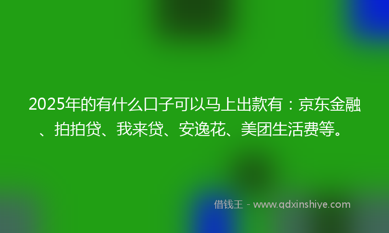 2025年的有什么口子可以马上出款有：京东金融、拍拍贷、我来贷、安逸花、美团生活费等。