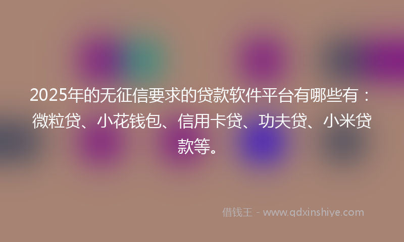 2025年的无征信要求的贷款软件平台有哪些有：微粒贷、小花钱包、信用卡贷、功夫贷、小米贷款等。