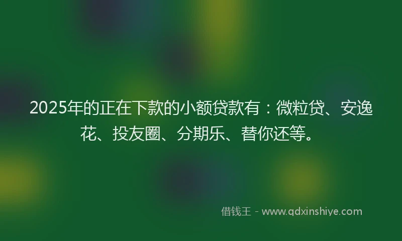 2025年的正在下款的小额贷款有：微粒贷、安逸花、投友圈、分期乐、替你还等。