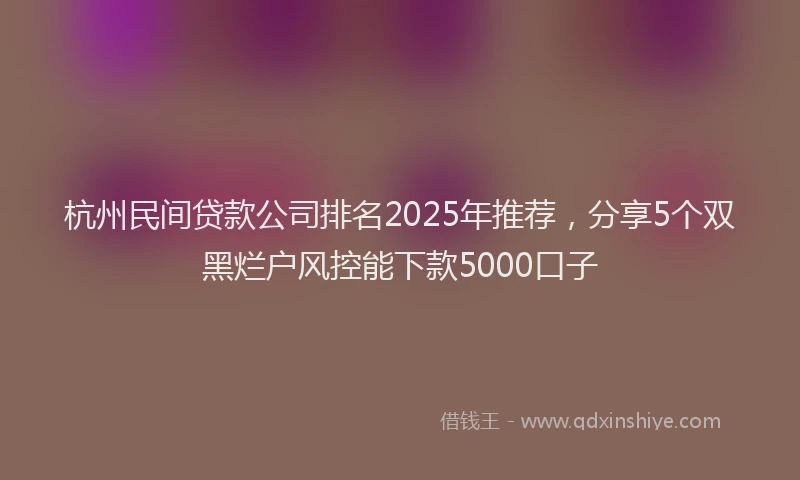 杭州民间贷款公司排名2025年推荐，分享5个双黑烂户风控能下款5000口子
