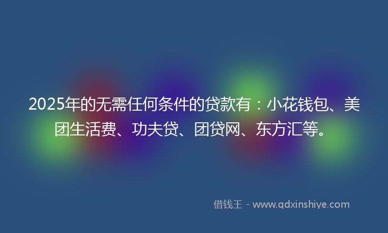 2025年的无需任何条件的贷款有：小花钱包、美团生活费、功夫贷、团贷网、东方汇等。