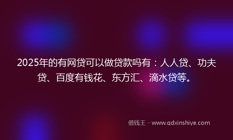 2025年的有网贷可以做贷款吗有：人人贷、功夫贷、百度有钱花、东方汇、滴水贷等。