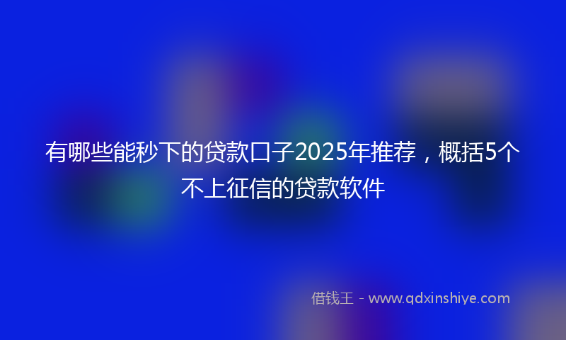有哪些能秒下的贷款口子2025年推荐，概括5个不上征信的贷款软件