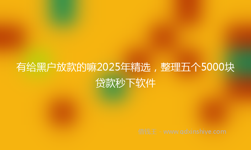 有给黑户放款的嘛2025年精选，整理五个5000块贷款秒下软件