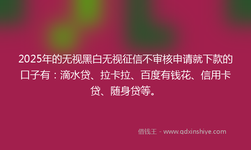 2025年的无视黑白无视征信不审核申请就下款的口子有：滴水贷、拉卡拉、百度有钱花、信用卡贷、随身贷等。