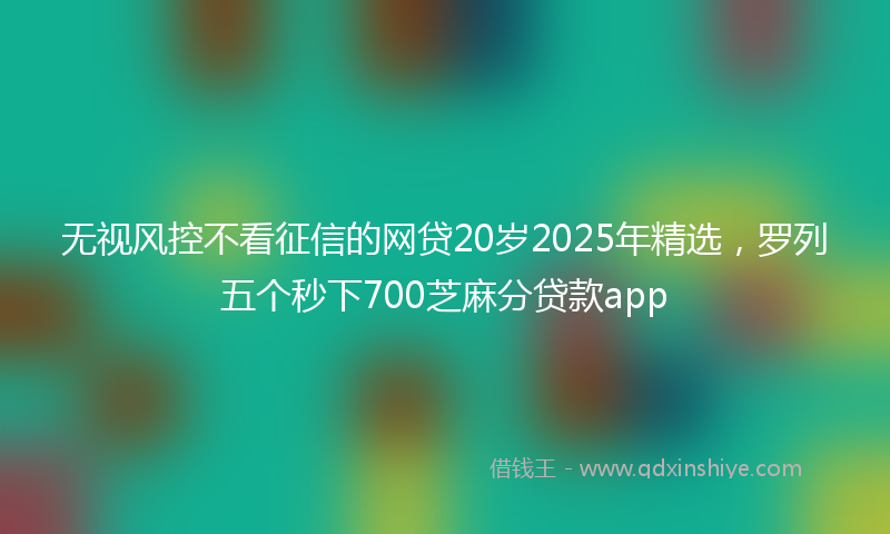 无视风控不看征信的网贷20岁2025年精选，罗列五个秒下700芝麻分贷款app