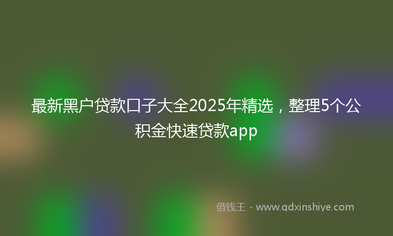 最新黑户贷款口子大全2025年精选，整理5个公积金快速贷款app