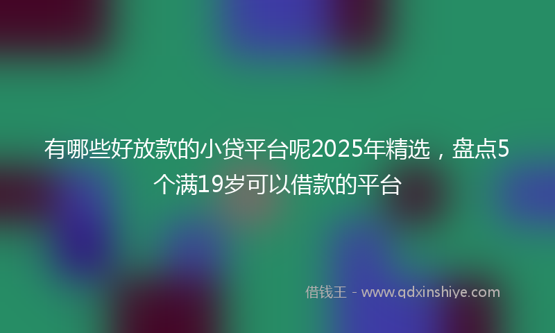 有哪些好放款的小贷平台呢2025年精选，盘点5个满19岁可以借款的平台
