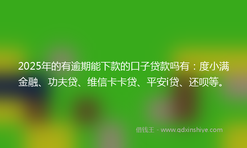 2025年的有逾期能下款的口子贷款吗有：度小满金融、功夫贷、维信卡卡贷、平安i贷、还呗等。