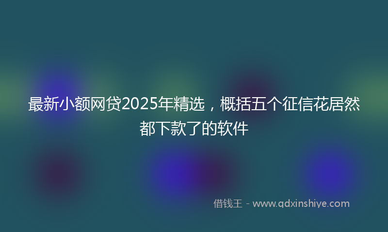 最新小额网贷2025年精选，概括五个征信花居然都下款了的软件