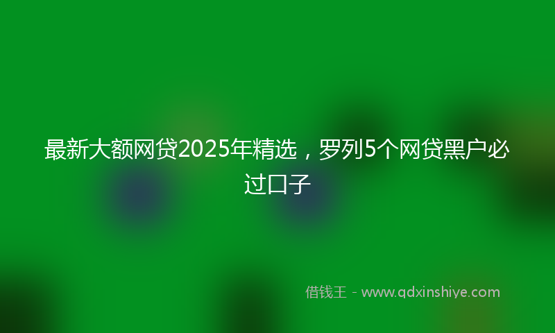 最新大额网贷2025年精选，罗列5个网贷黑户必过口子