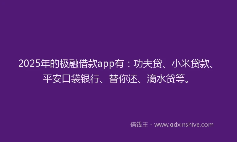 2025年的极融借款app有：功夫贷、小米贷款、平安口袋银行、替你还、滴水贷等。