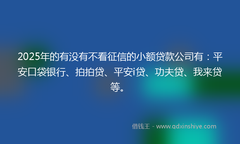 2025年的有没有不看征信的小额贷款公司有：平安口袋银行、拍拍贷、平安i贷、功夫贷、我来贷等。