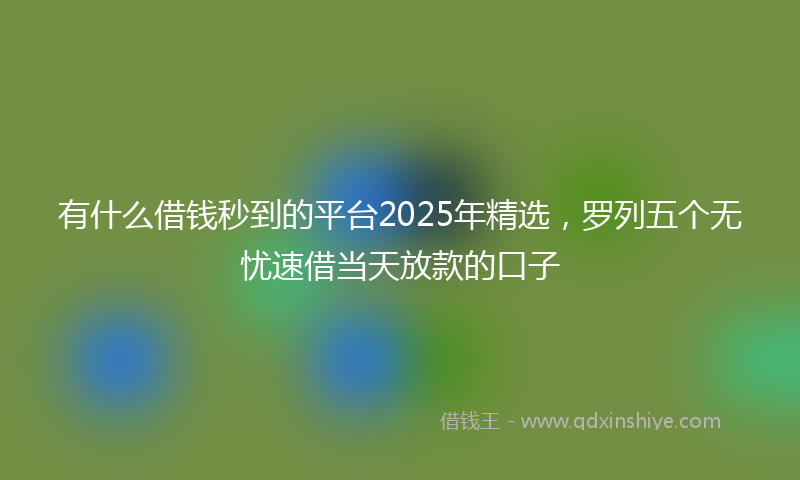 有什么借钱秒到的平台2025年精选，罗列五个无忧速借当天放款的口子