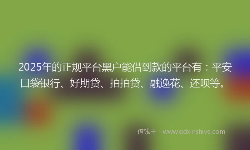 2025年的正规平台黑户能借到款的平台有：平安口袋银行、好期贷、拍拍贷、融逸花、还呗等。