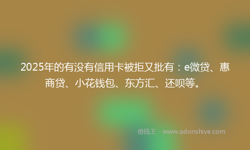 2025年的有没有信用卡被拒又批有：e微贷、惠商贷、小花钱包、东方汇、还呗等。