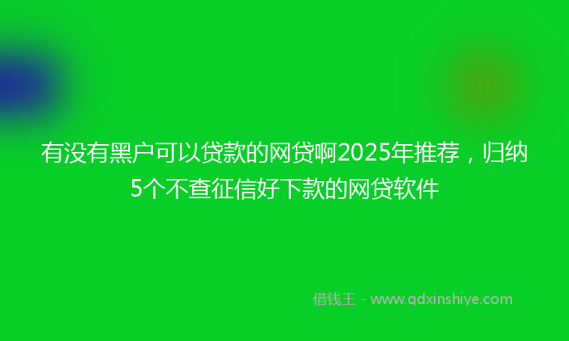 有没有黑户可以贷款的网贷啊2025年推荐，归纳5个不查征信好下款的网贷软件