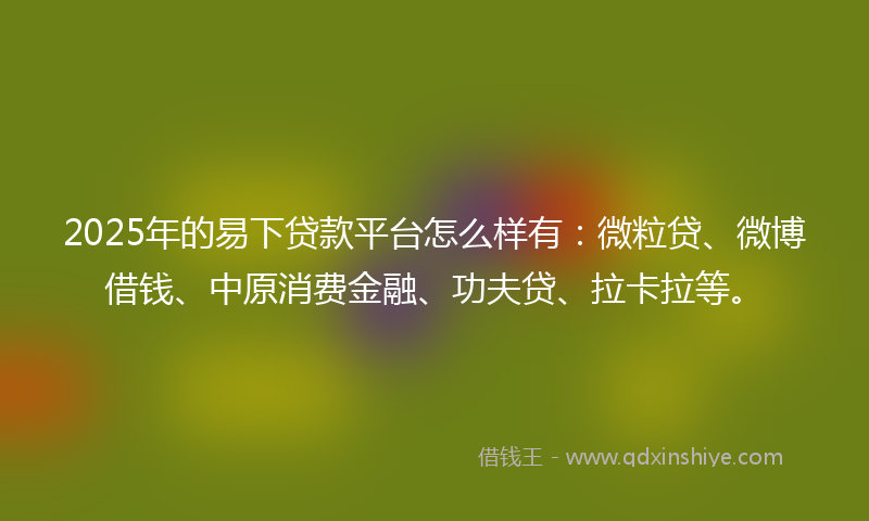 2025年的易下贷款平台怎么样有：微粒贷、微博借钱、中原消费金融、功夫贷、拉卡拉等。