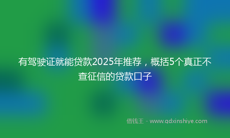 有驾驶证就能贷款2025年推荐，概括5个真正不查征信的贷款口子