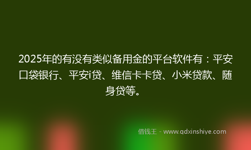 2025年的有没有类似备用金的平台软件有：平安口袋银行、平安i贷、维信卡卡贷、小米贷款、随身贷等。