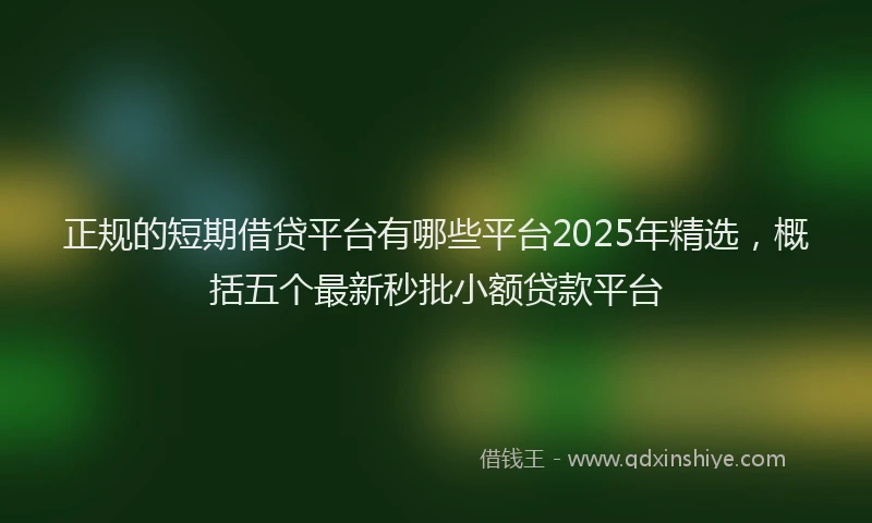 正规的短期借贷平台有哪些平台2025年精选，概括五个最新秒批小额贷款平台