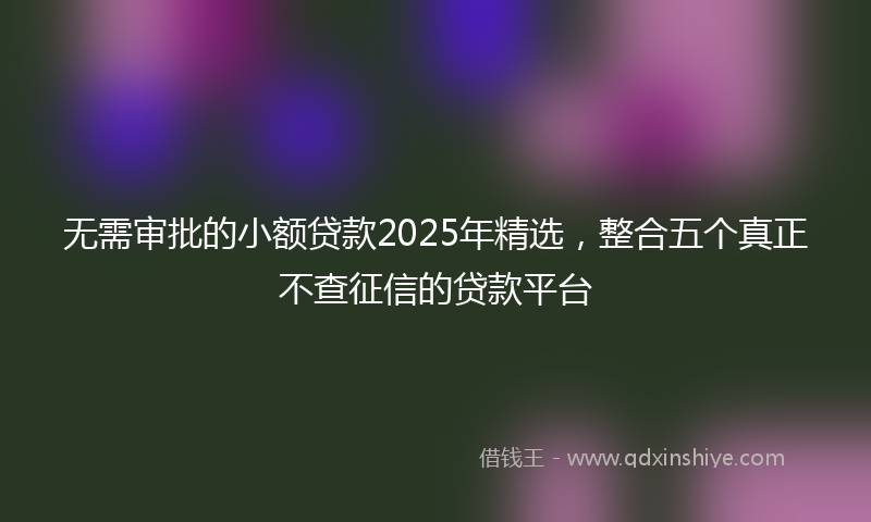 无需审批的小额贷款2025年精选，整合五个真正不查征信的贷款平台